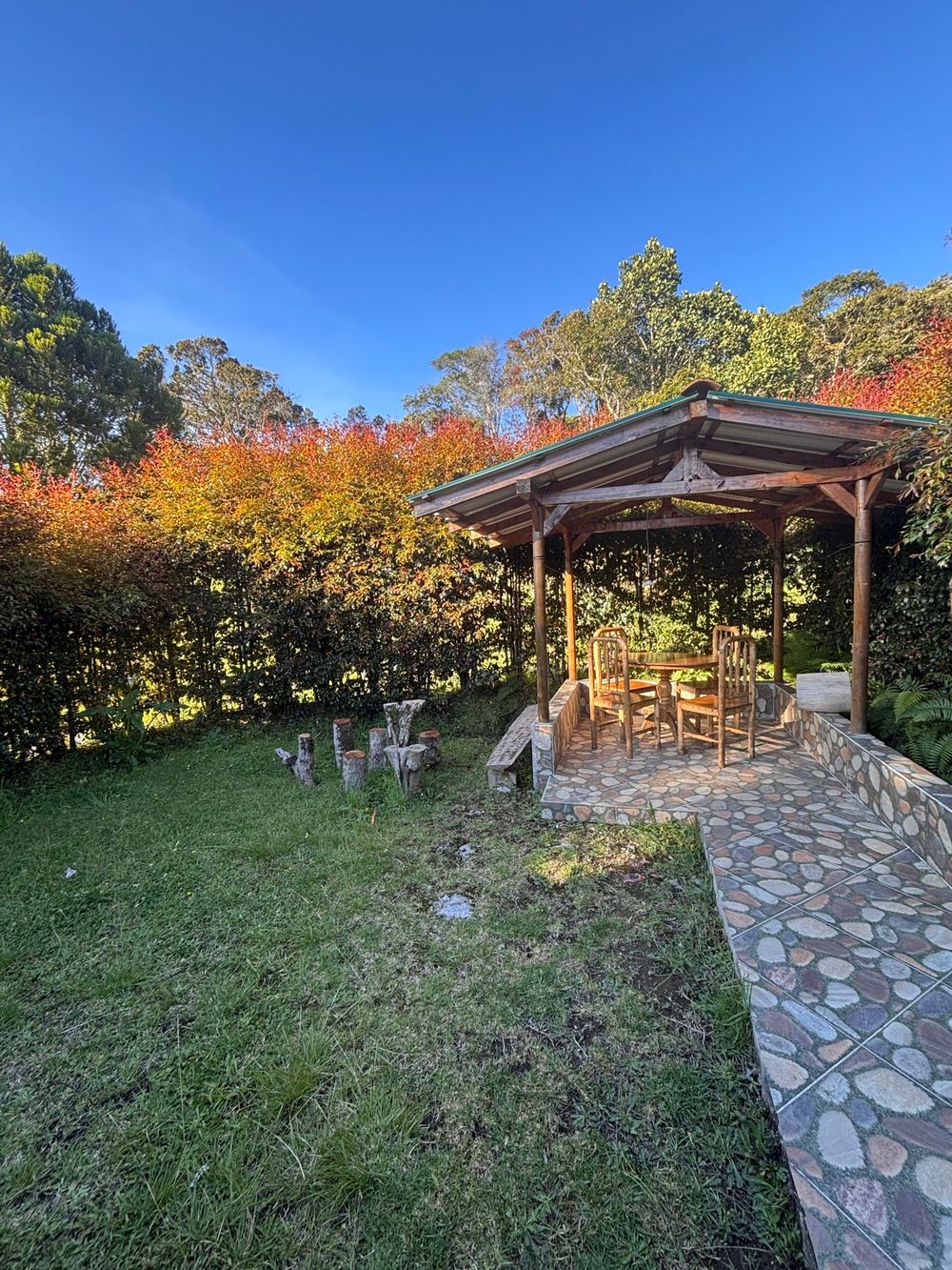 Foto 5 de 🏡 SE ALQUILA APARTAESTUDIO EN SANTA ELENA – VEREDA EL PLACER